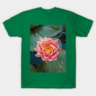 pink water lily T-Shirt